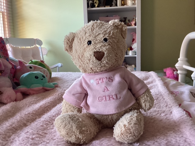 Sadie's Bear on pink blanket