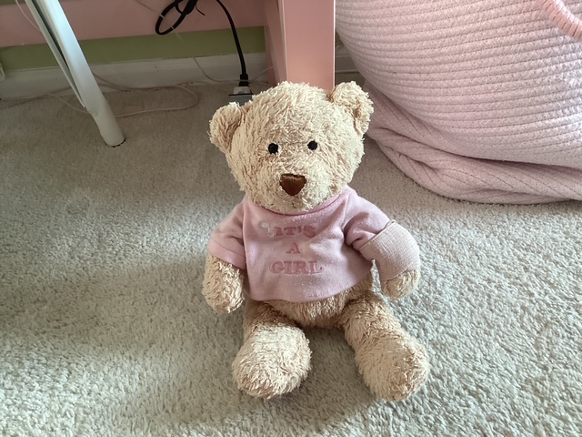 Sadie's Bear near pink furniture